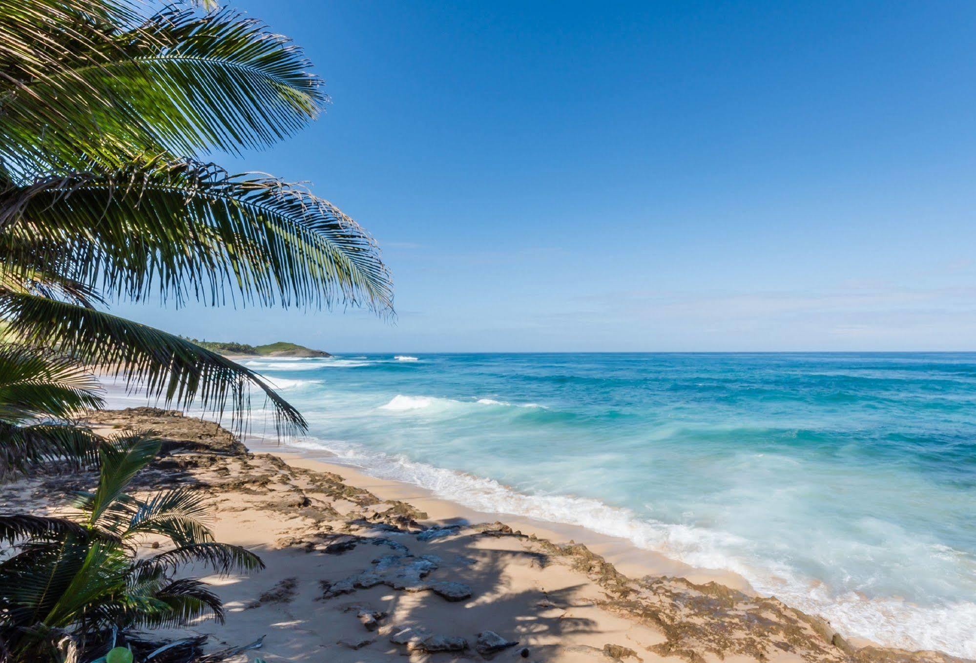 Апартаменти Ventana Al Atlantico At Arecibo 681 Ocean Drive Islote Екстер'єр фото